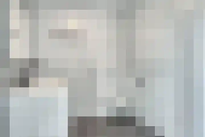 Pastoor van der Meijdenstraat 5 Oisterwijk thumbnail 22