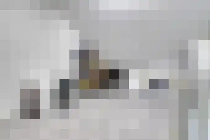 Pastoor van der Meijdenstraat 5 Oisterwijk thumbnail 24
