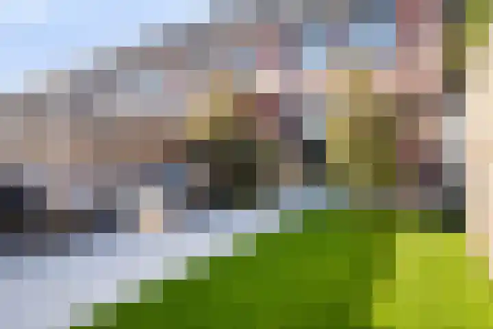 Pastoor van der Meijdenstraat 5 Oisterwijk thumbnail 31