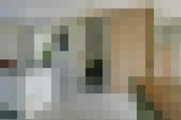 Pastoor van der Meijdenstraat 7 Oisterwijk thumbnail 12