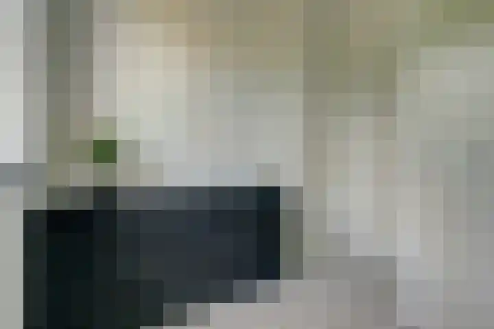 Pastoor van der Meijdenstraat 7 Oisterwijk thumbnail 23