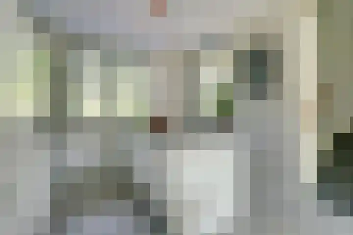 Pastoor van der Meijdenstraat 7 Oisterwijk thumbnail 8