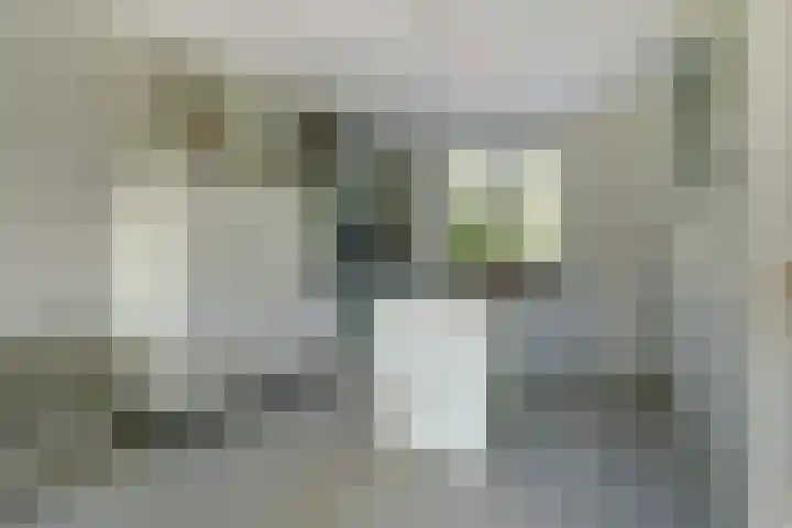 Pastoor van der Meijdenstraat 7 Oisterwijk thumbnail 9