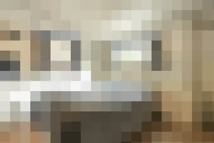 Pastoor van der Plaatstraat 101 Rijpwetering thumbnail 10