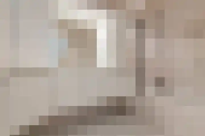 Pastoor van der Plaatstraat 101 Rijpwetering thumbnail 12