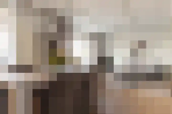 Pastoor van der Plaatstraat 101 Rijpwetering thumbnail 15