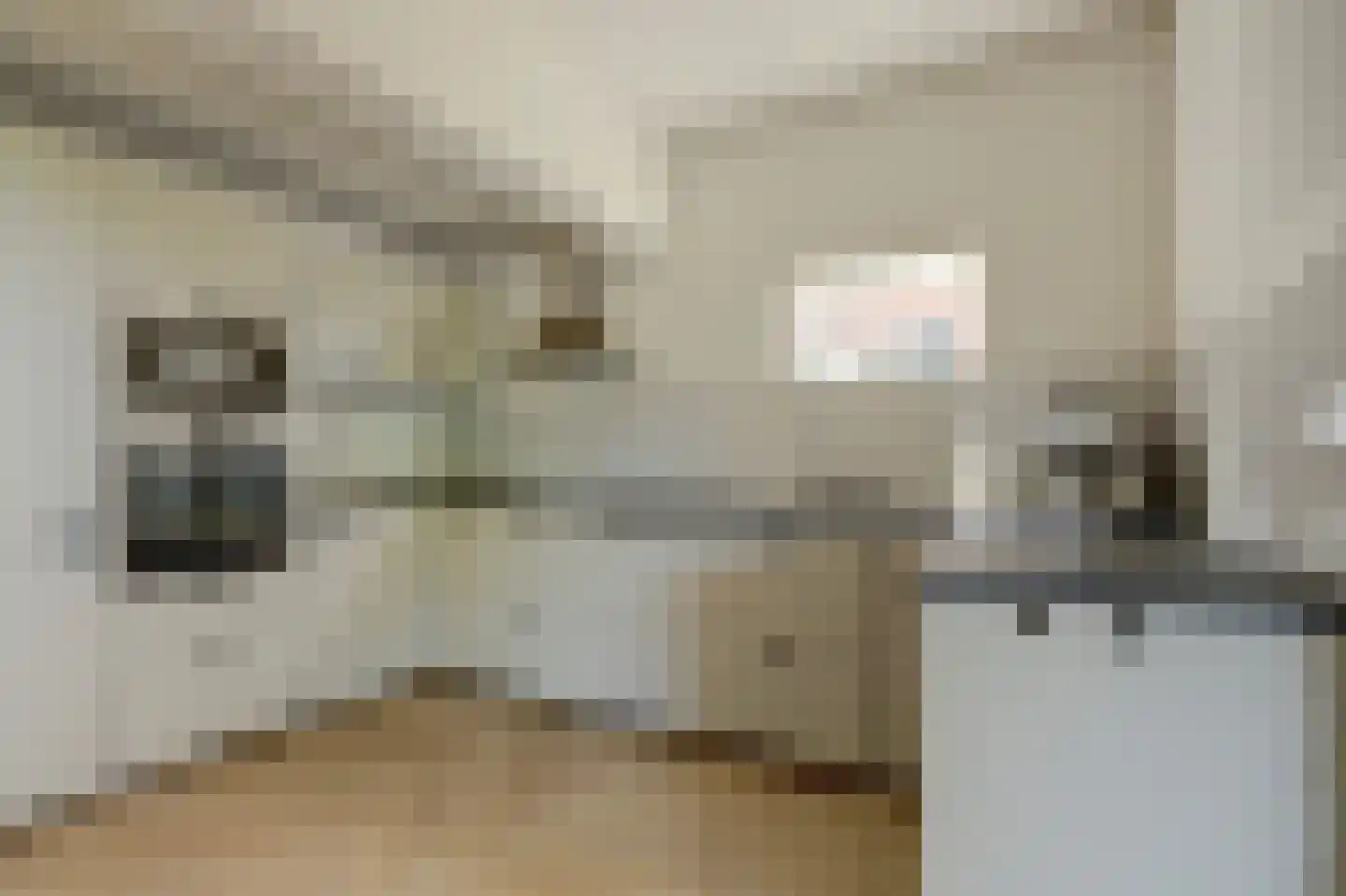 Pastoor van der Plaatstraat 101 Rijpwetering thumbnail 15