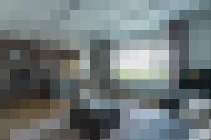 Pastoor van der Plaatstraat 101 Rijpwetering thumbnail 16