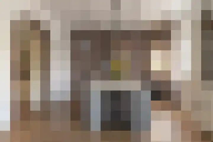 Pastoor van der Plaatstraat 101 Rijpwetering thumbnail 17