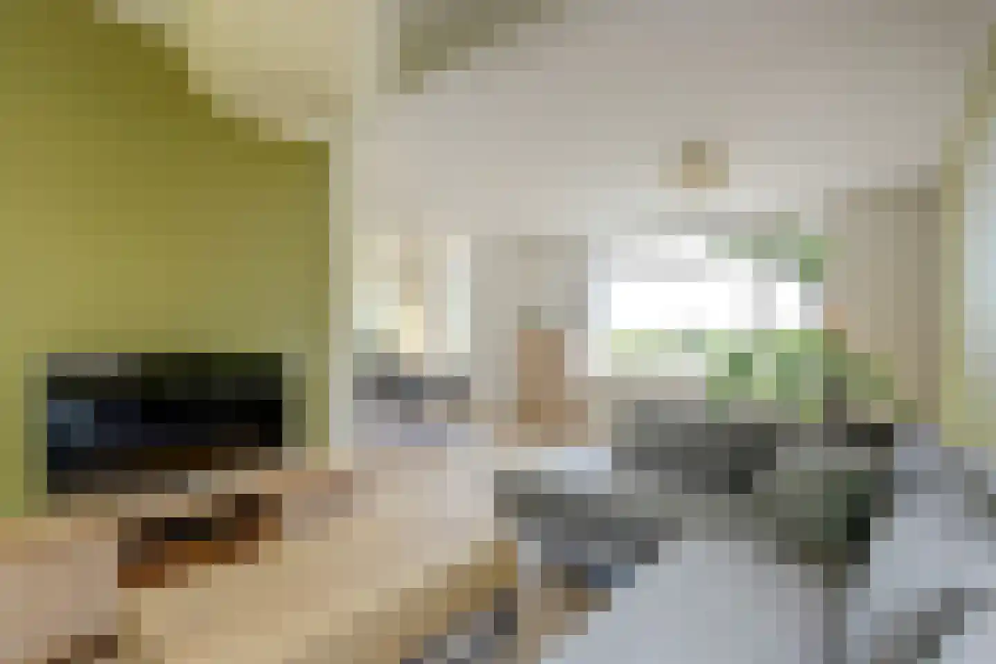 Pastoor van der Plaatstraat 101 Rijpwetering thumbnail 18