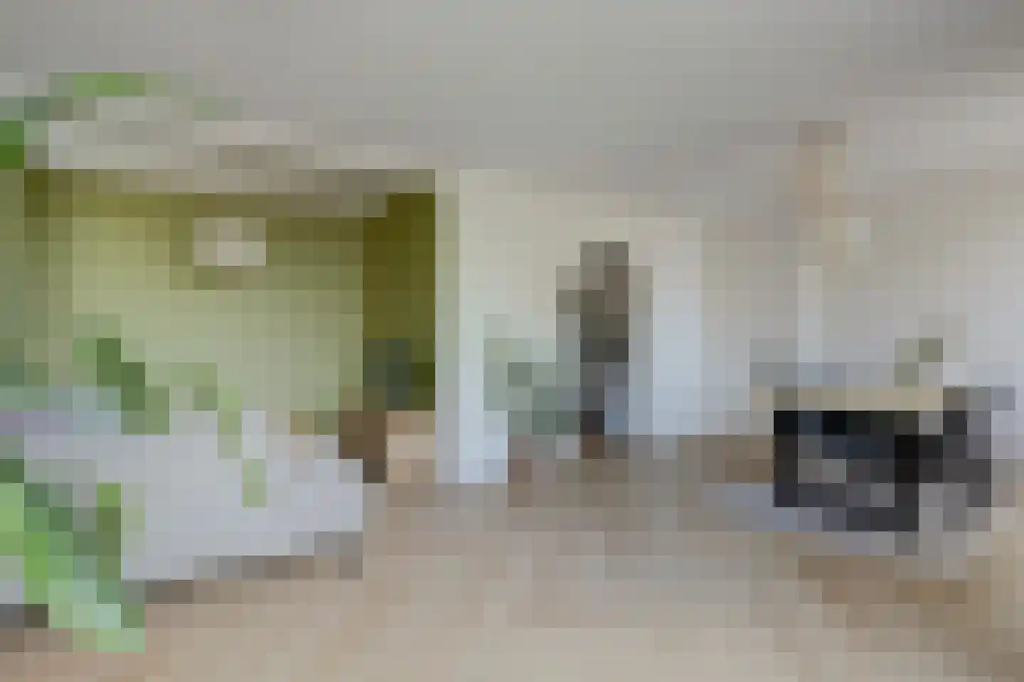Pastoor van der Plaatstraat 101 Rijpwetering thumbnail 19
