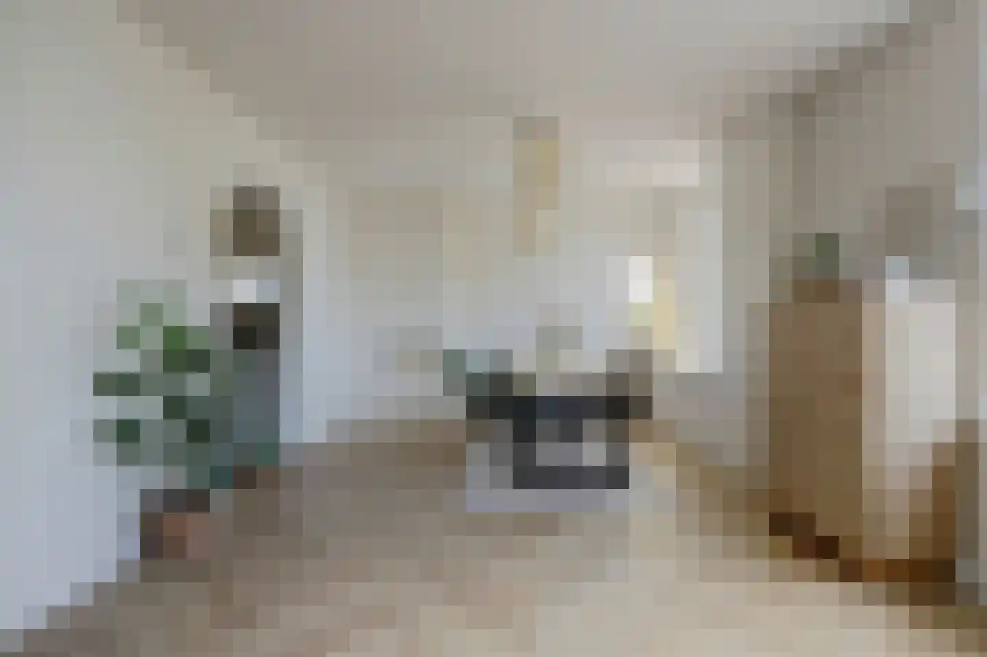 Pastoor van der Plaatstraat 101 Rijpwetering thumbnail 21