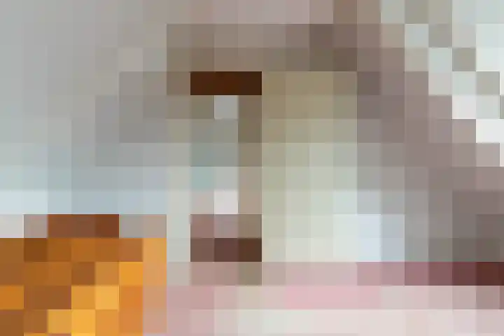 Pastoor van der Plaatstraat 101 Rijpwetering thumbnail 23