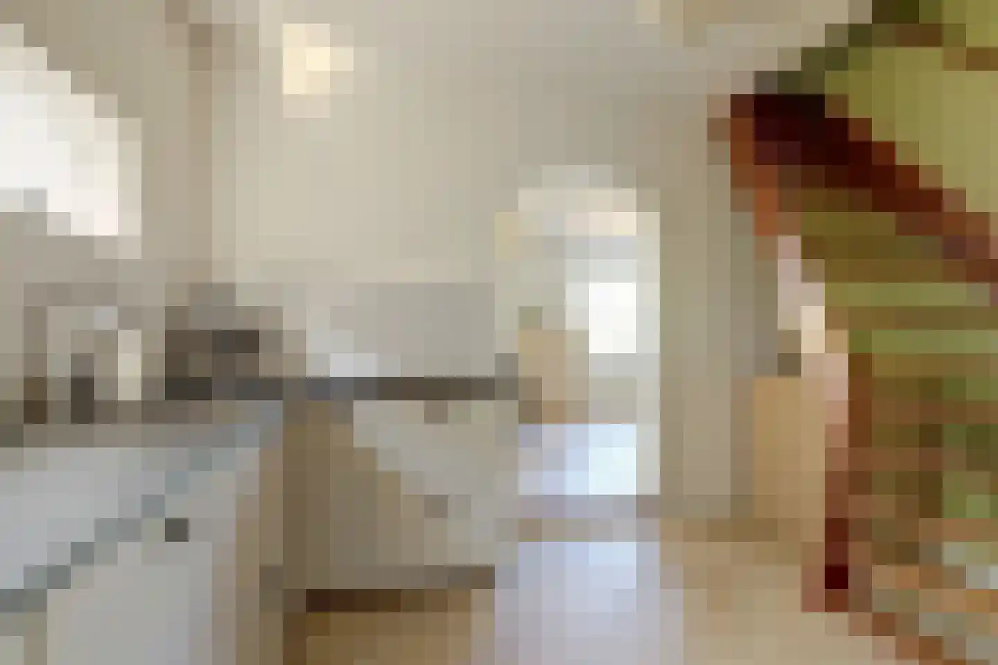 Pastoor van der Plaatstraat 101 Rijpwetering thumbnail 24