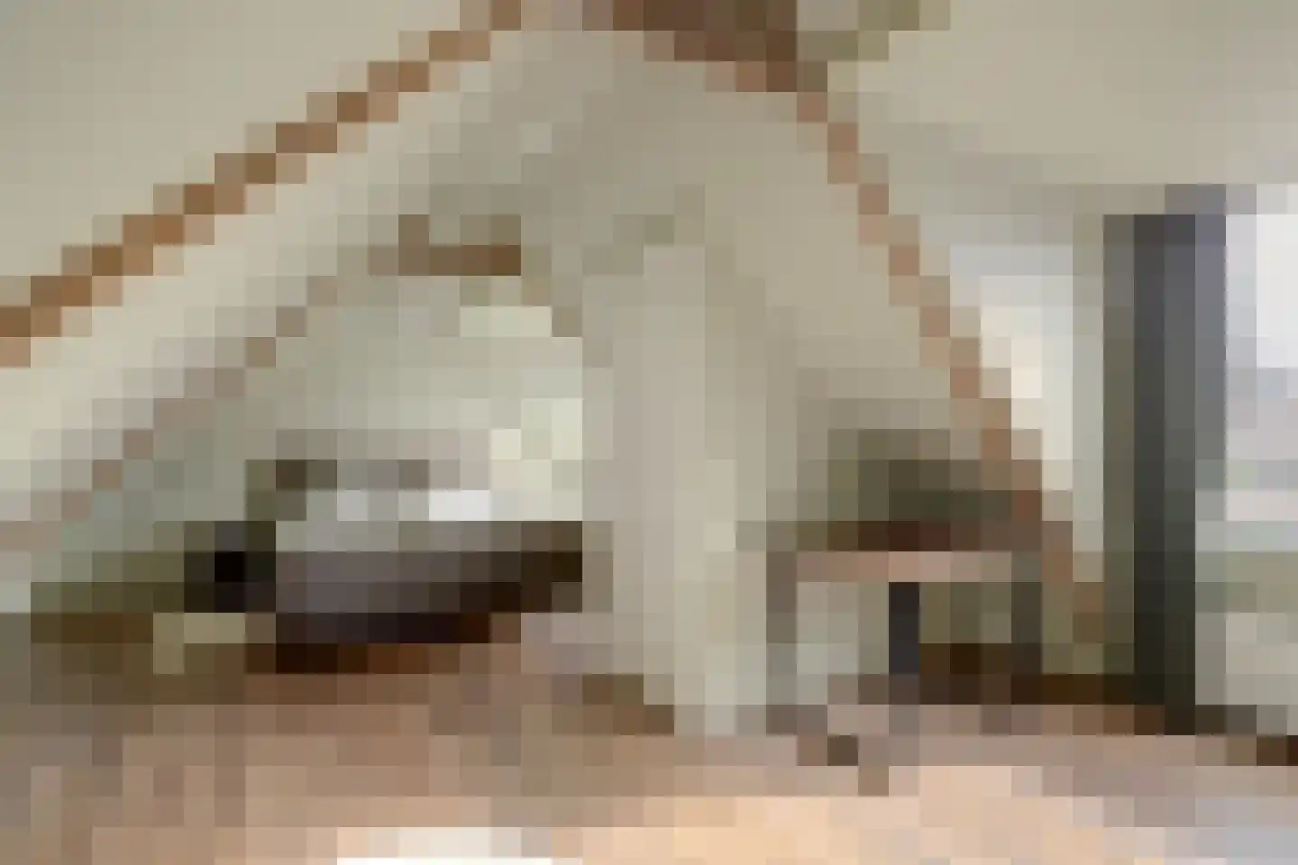 Pastoor van der Plaatstraat 101 Rijpwetering thumbnail 25