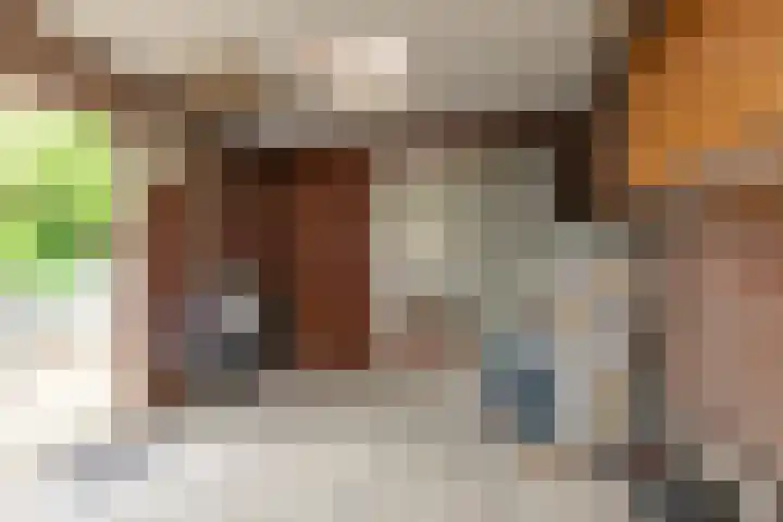 Pastoor van der Plaatstraat 101 Rijpwetering thumbnail 25