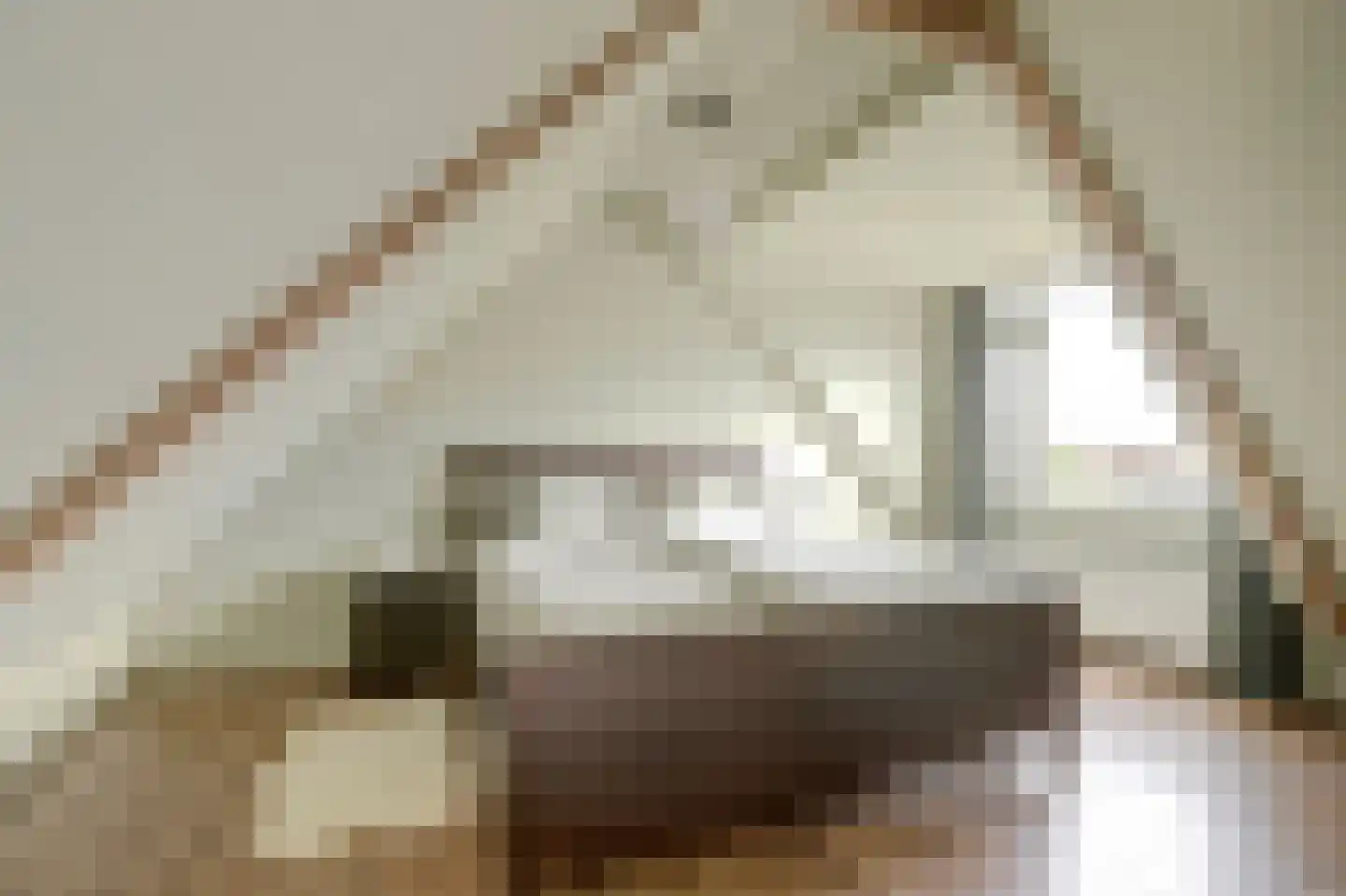 Pastoor van der Plaatstraat 101 Rijpwetering thumbnail 26