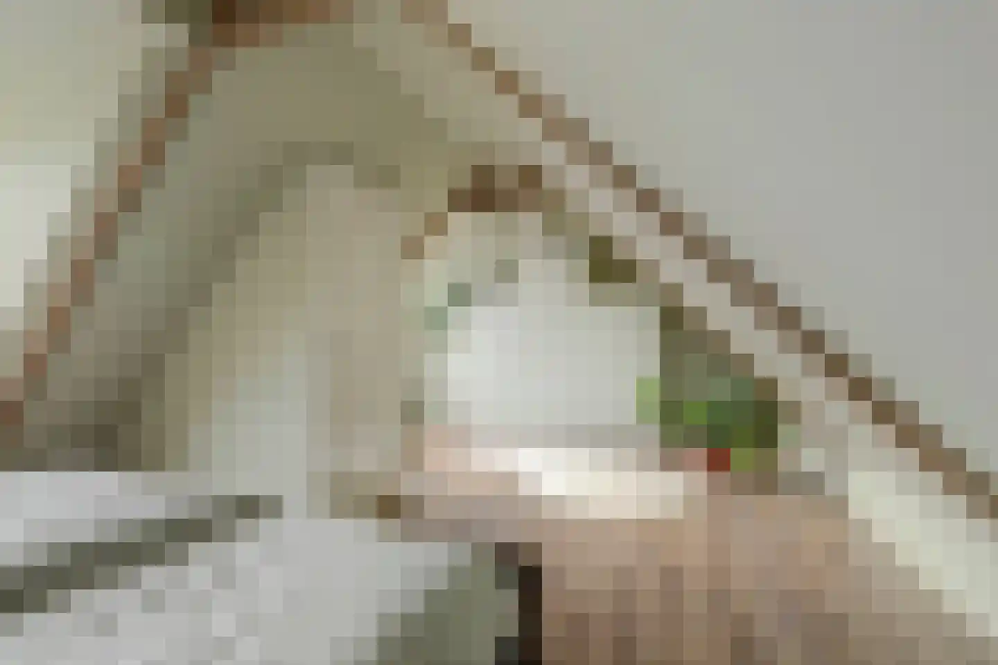 Pastoor van der Plaatstraat 101 Rijpwetering thumbnail 27