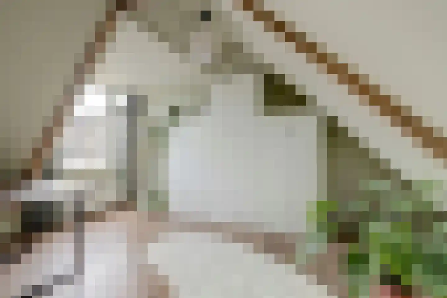 Pastoor van der Plaatstraat 101 Rijpwetering thumbnail 28