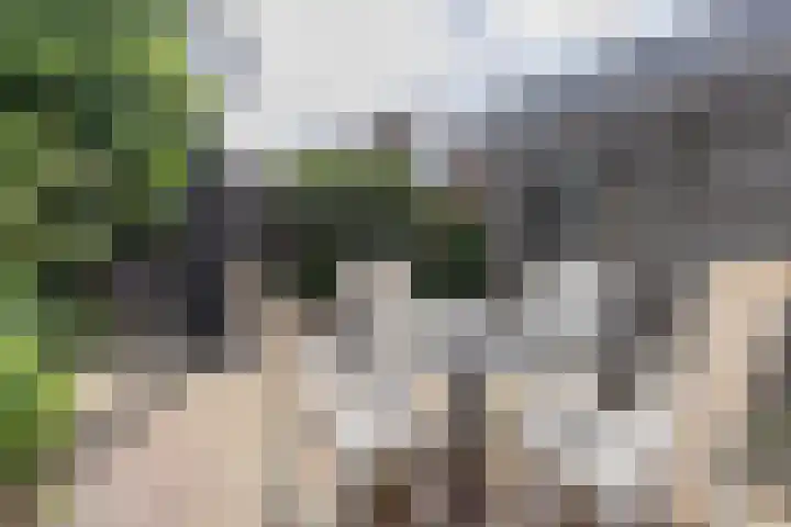 Pastoor van der Plaatstraat 101 Rijpwetering thumbnail 28