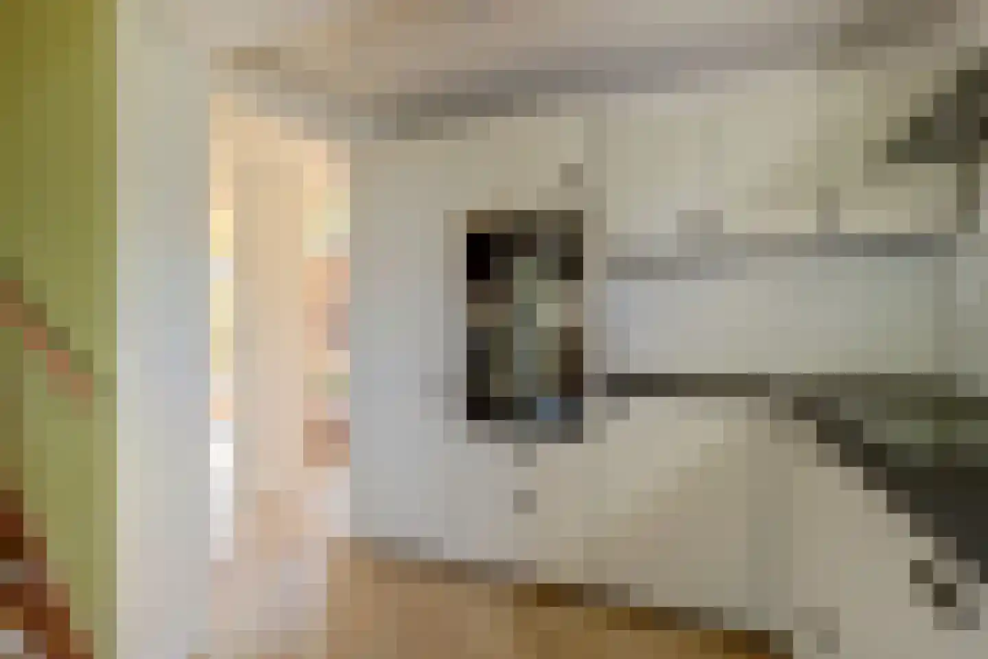 Pastoor van der Plaatstraat 101 Rijpwetering thumbnail 29