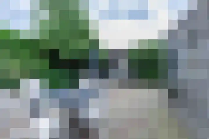 Pastoor van der Plaatstraat 101 Rijpwetering thumbnail 29