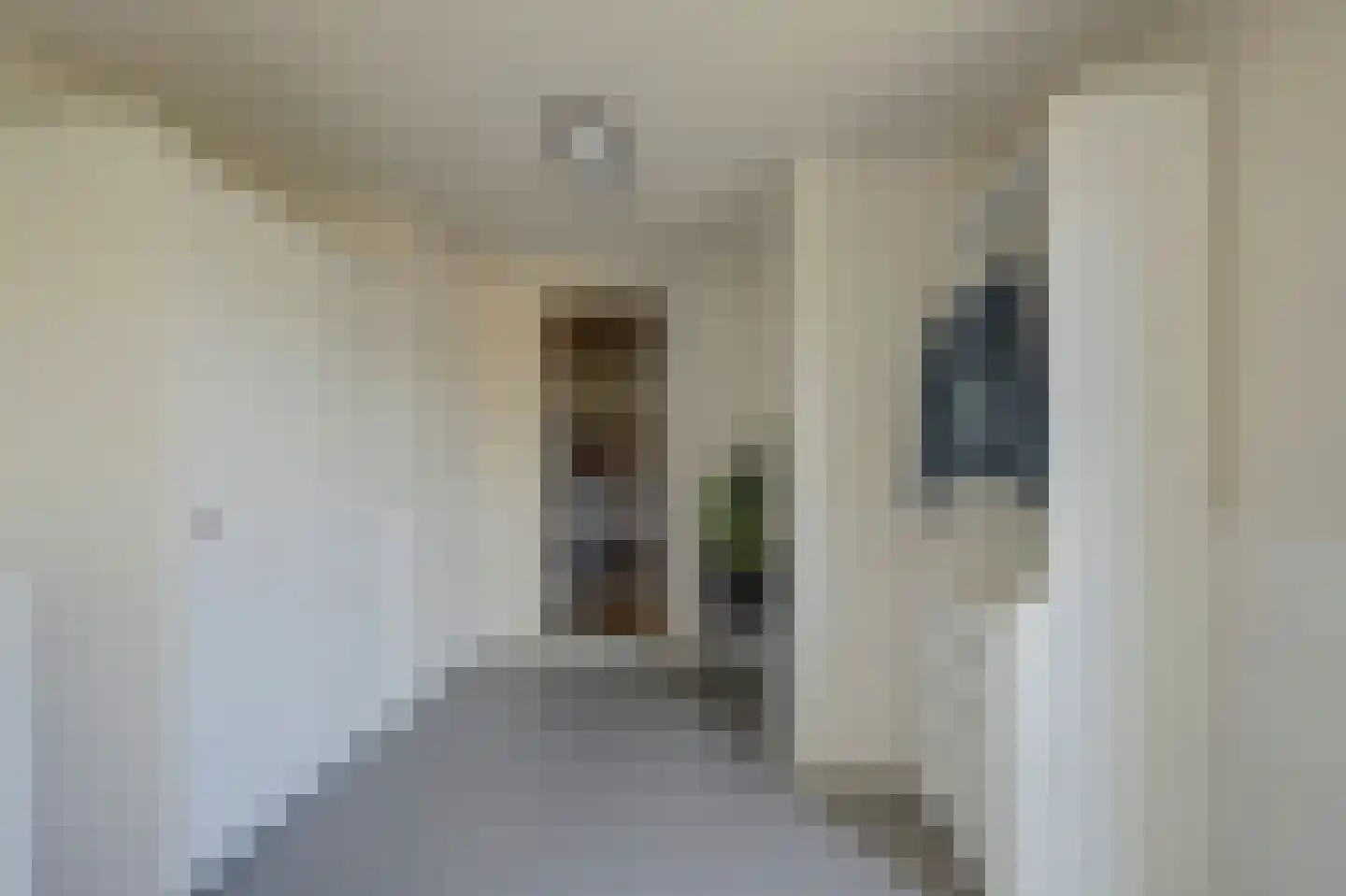 Pastoor van der Plaatstraat 101 Rijpwetering thumbnail 33