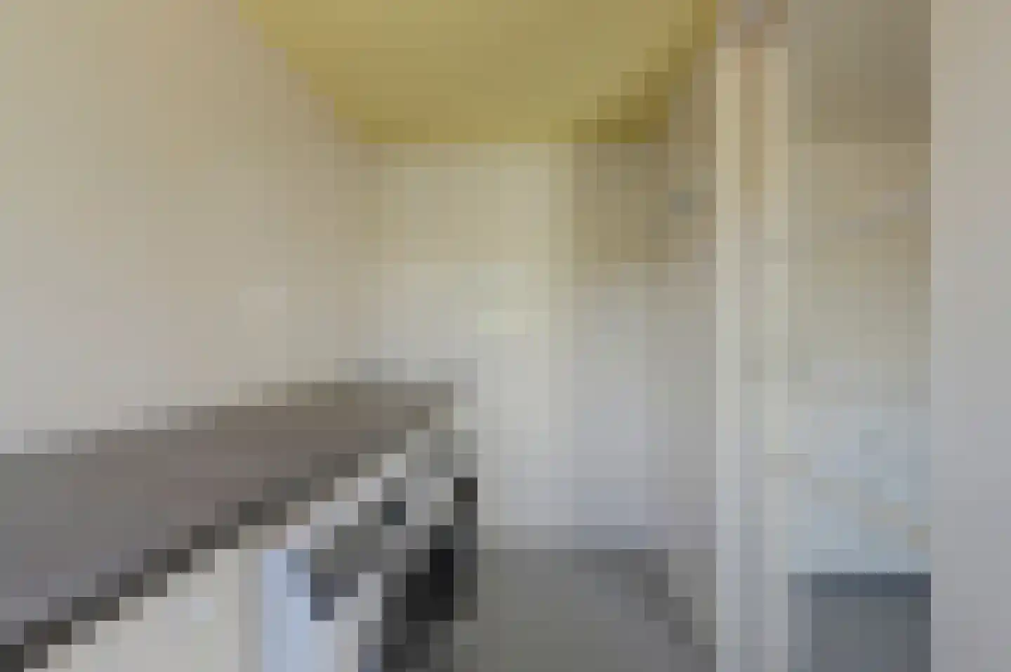 Pastoor van der Plaatstraat 101 Rijpwetering thumbnail 36