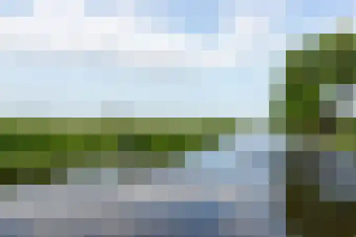 Pastoor van der Plaatstraat 101 Rijpwetering thumbnail 4