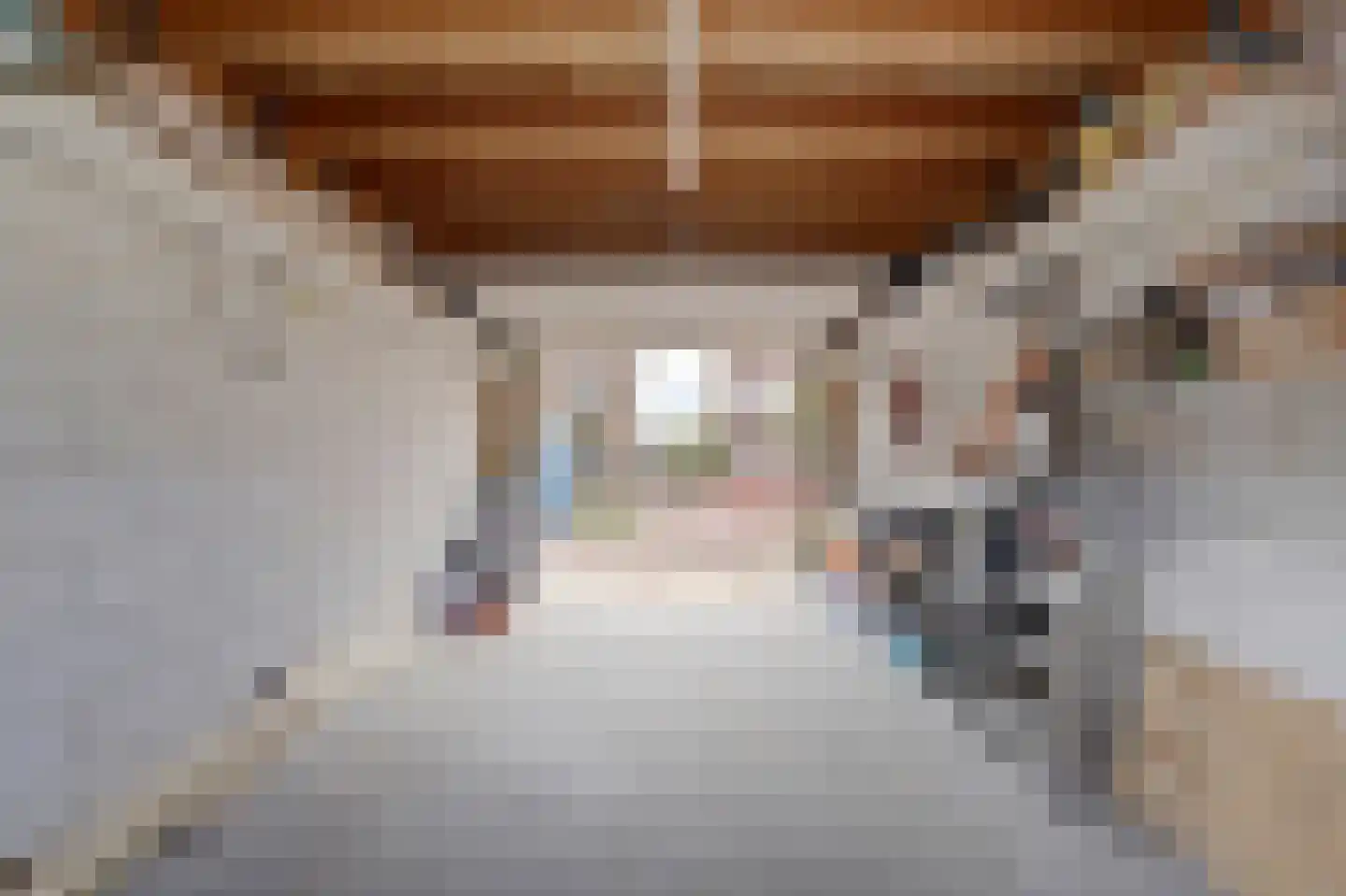 Pastoor van der Plaatstraat 101 Rijpwetering thumbnail 42