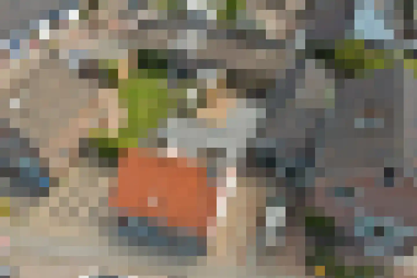 Pastoor van der Plaatstraat 101 Rijpwetering thumbnail 46