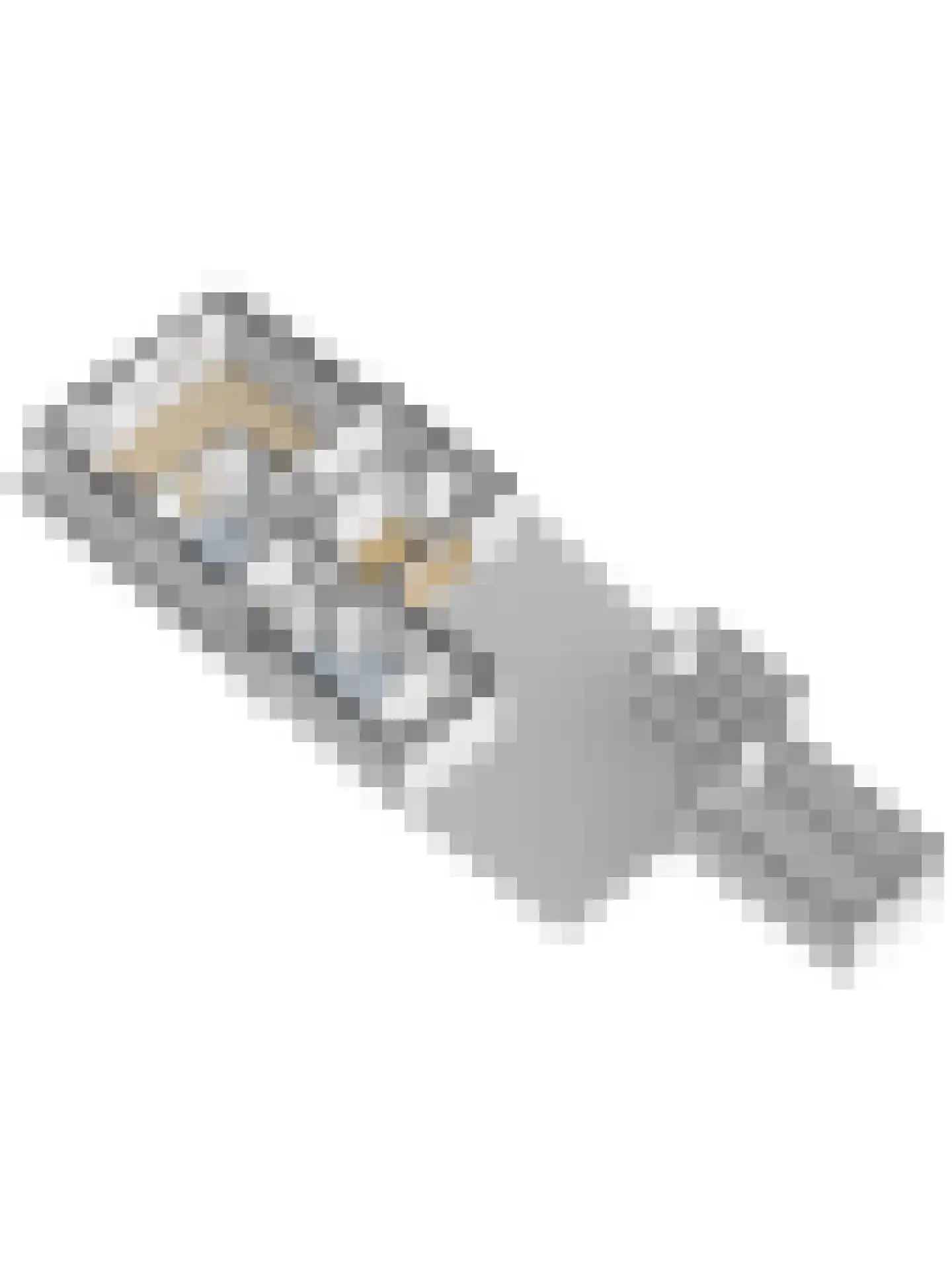 Pastoor van der Plaatstraat 101 Rijpwetering thumbnail 53