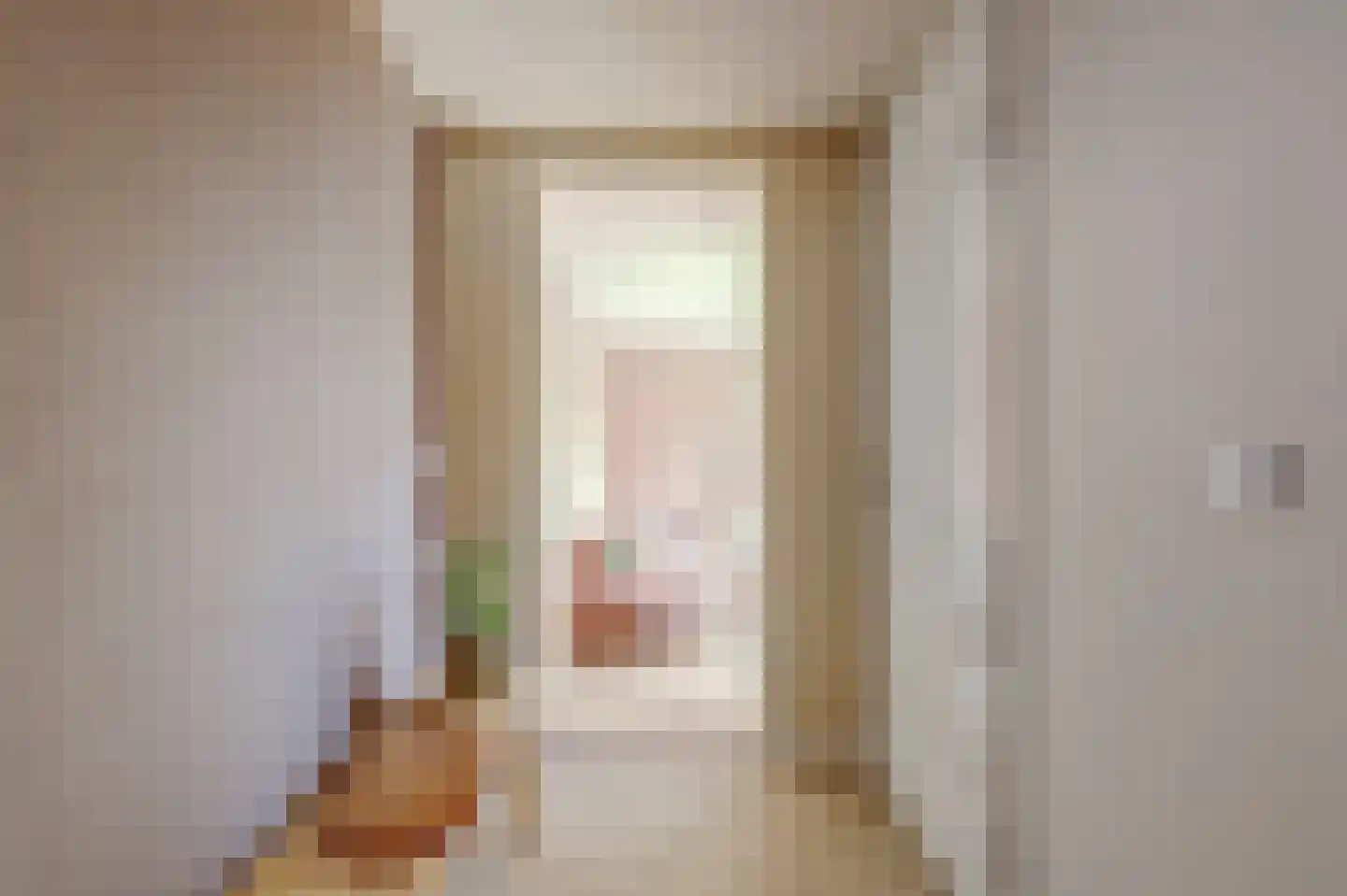 Pastoor van der Plaatstraat 101 Rijpwetering thumbnail 6