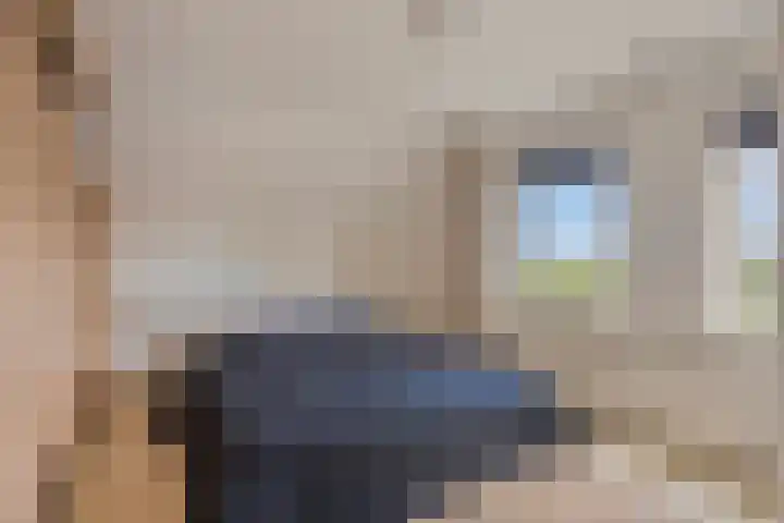 Pastoor van der Plaatstraat 97 Rijpwetering thumbnail 10