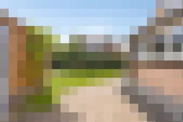 Pastoor van der Plaatstraat 97 Rijpwetering thumbnail 17