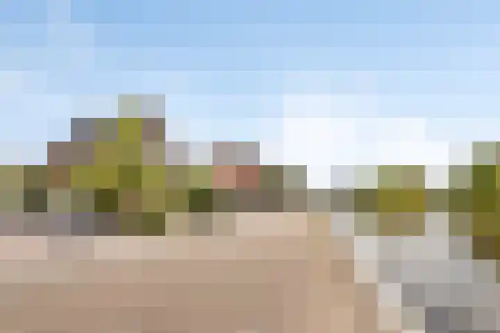 Pastoor van der Plaatstraat 97 Rijpwetering thumbnail 21