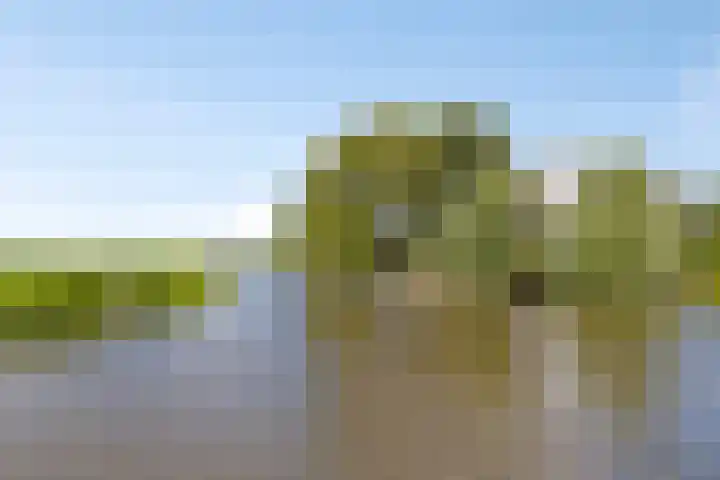 Pastoor van der Plaatstraat 97 Rijpwetering thumbnail 22