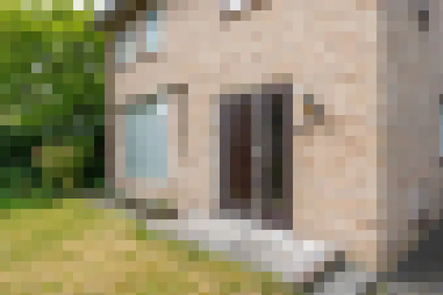 Pastoor van der Voortlaan 22 Heeze thumbnail 4
