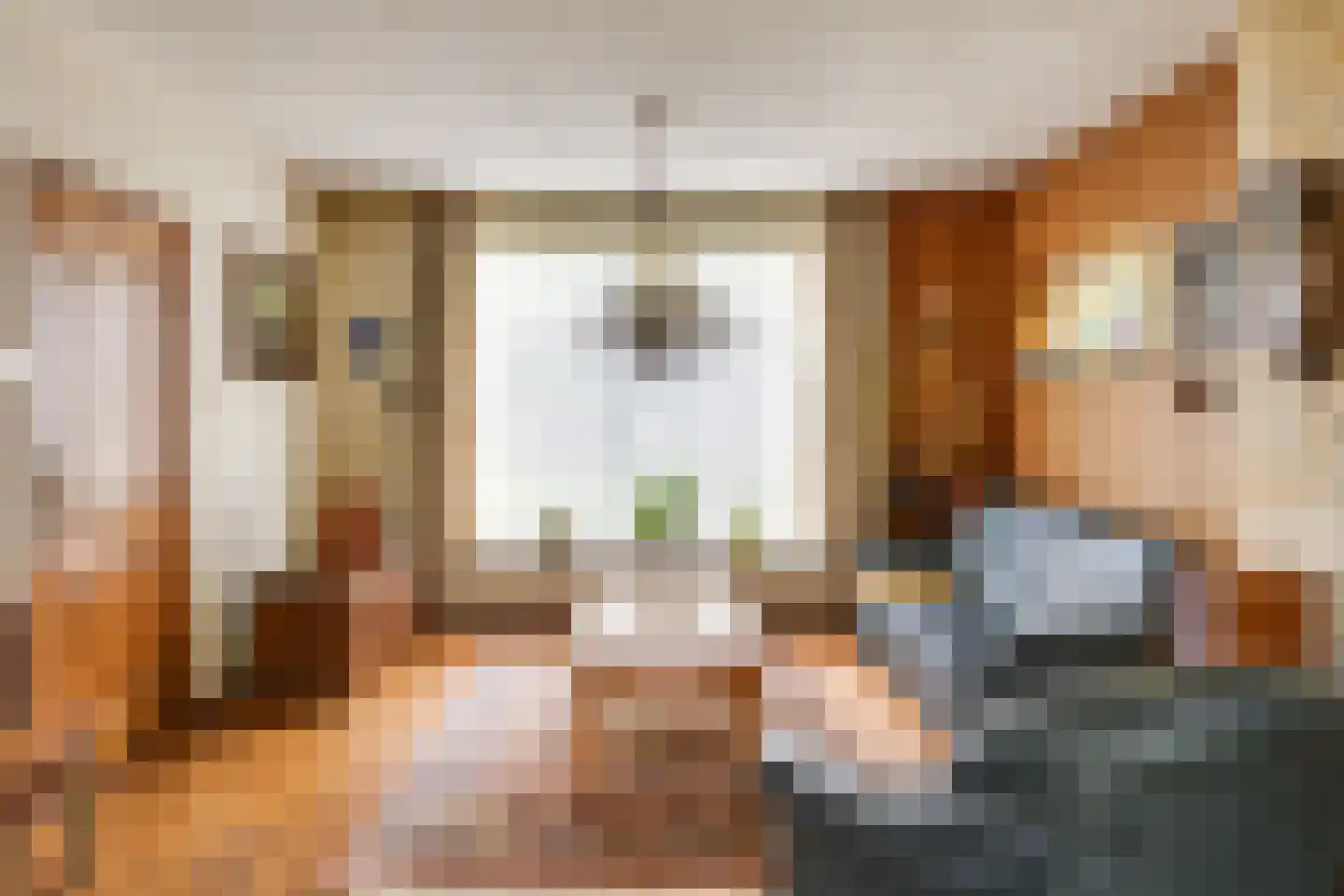 Pastoor van der Voortlaan 22 Heeze thumbnail 6