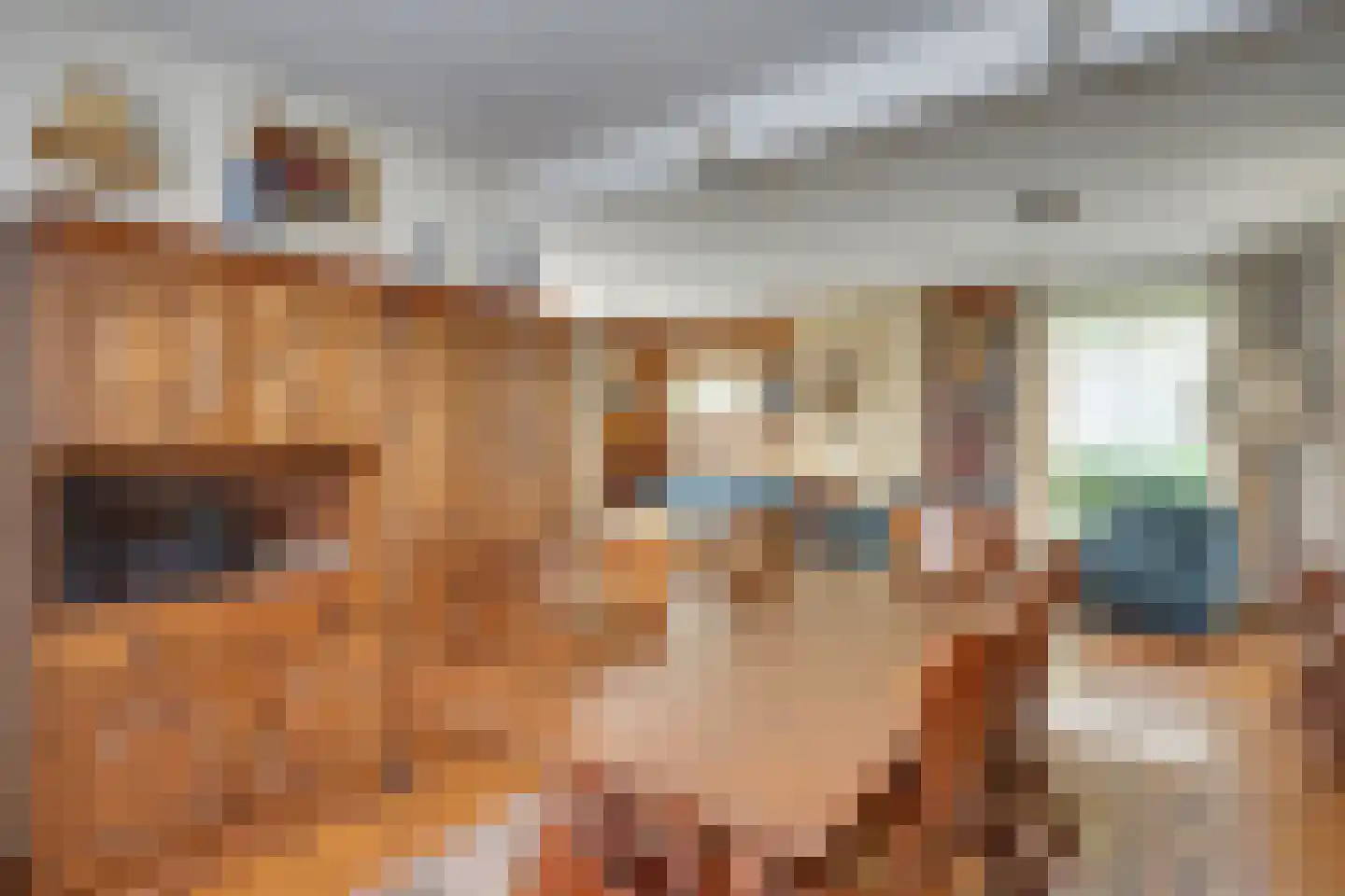 Pastoor van der Voortlaan 22 Heeze thumbnail 9