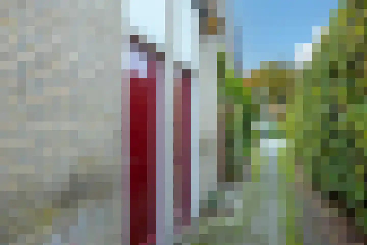 Pastoor van der Zijlestraat 38 Waalwijk thumbnail 31