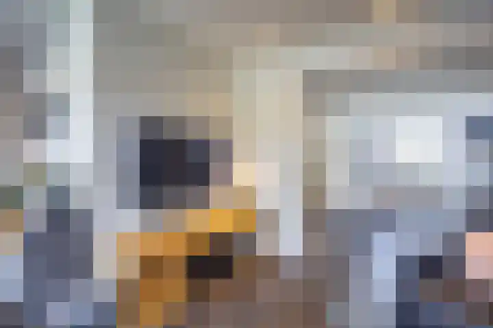 Pastoor van Doorenstraat 5 Moergestel thumbnail 12