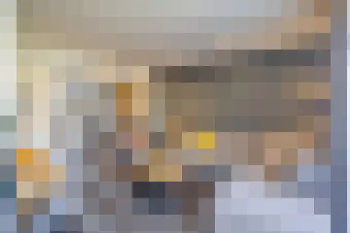 Pastoor van Doorenstraat 5 Moergestel thumbnail 13