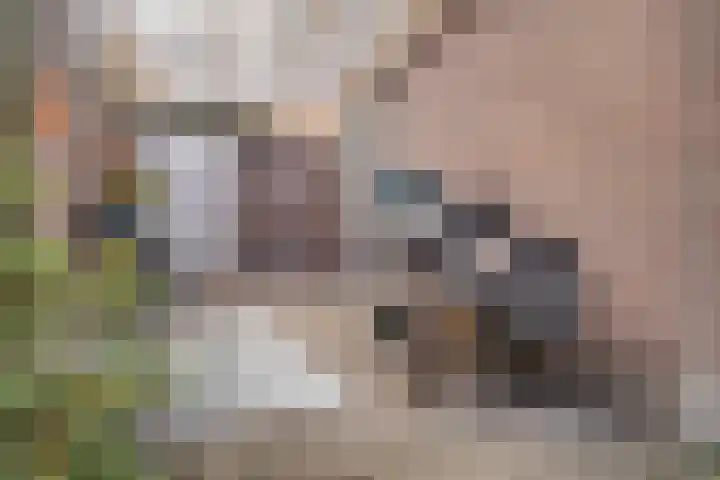 Pastoor van Doorenstraat 5 Moergestel thumbnail 36