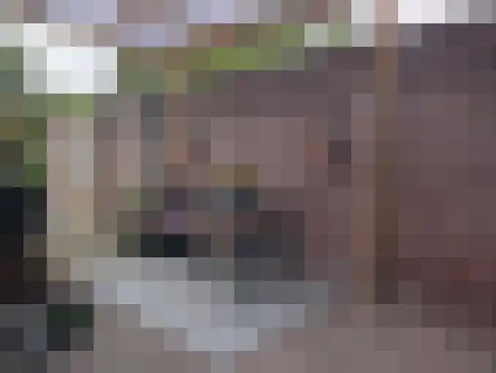 Pastoor van Doorenstraat 5 Moergestel thumbnail 37