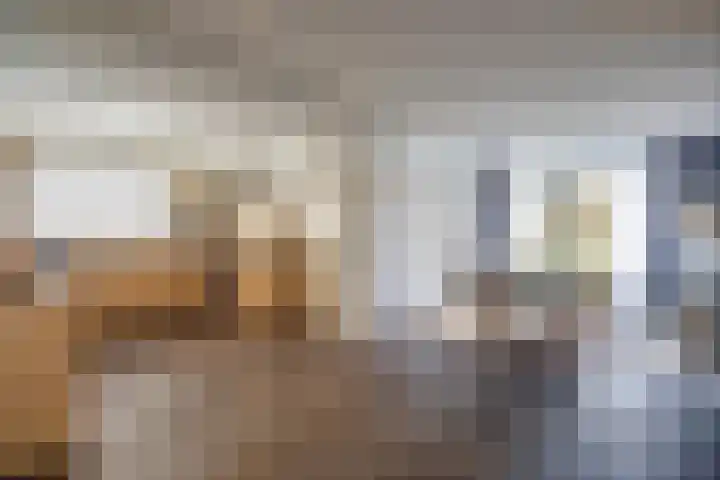 Pastoor van Doorenstraat 5 Moergestel thumbnail 6