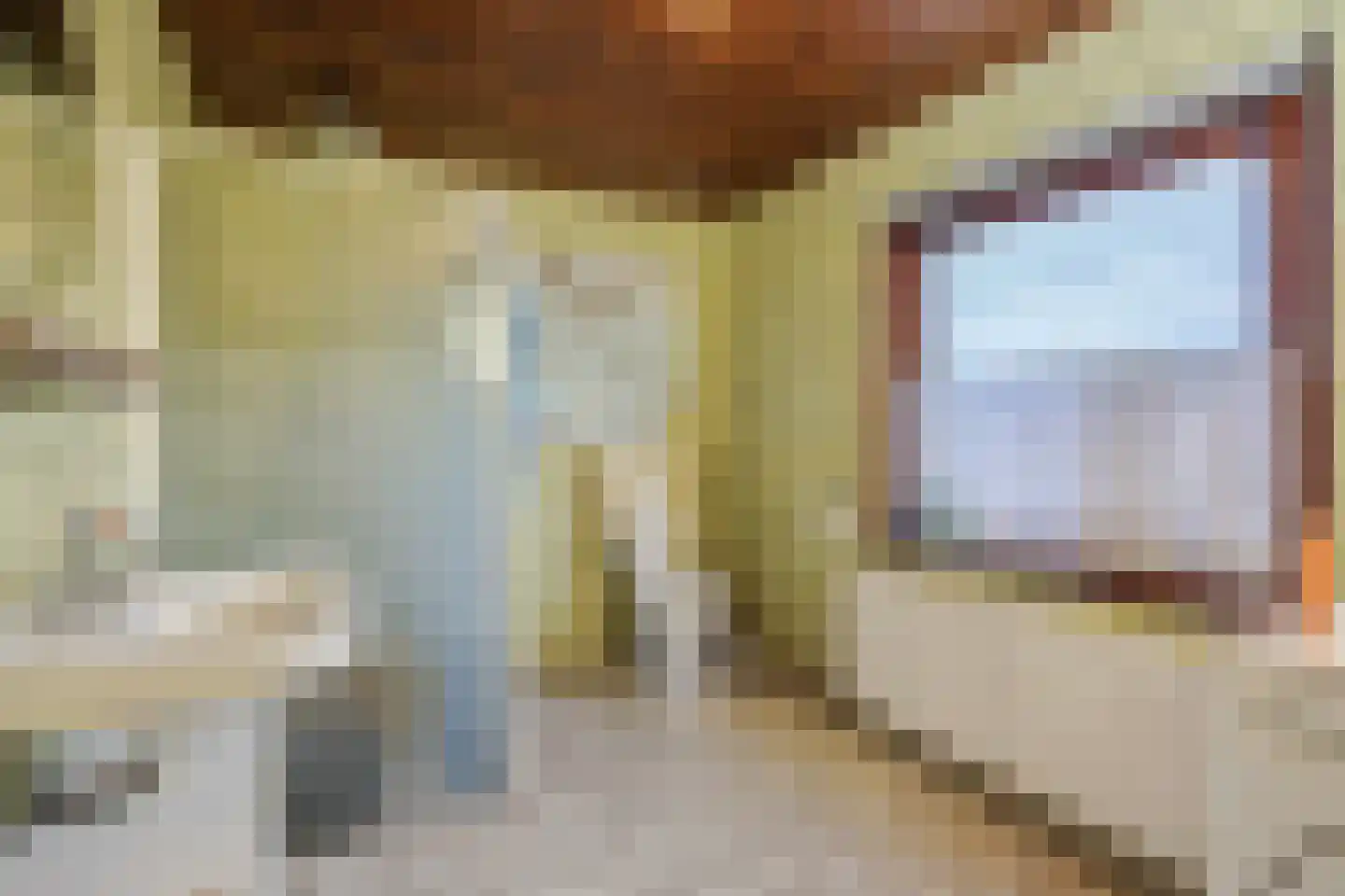 Pastoor van Doornstraat 44 Uden thumbnail 16