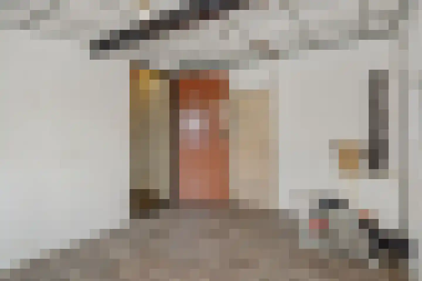 Pastoor van Doornstraat 44 Uden thumbnail 23