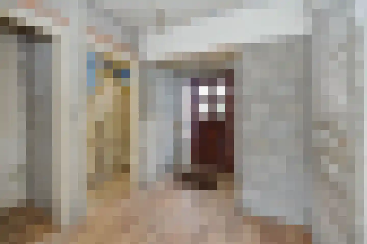 Pastoor van Doornstraat 44 Uden thumbnail 5