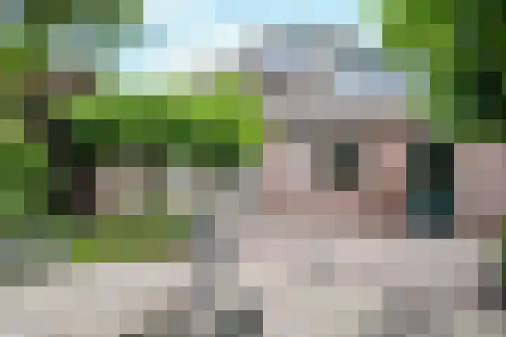 Pastoor van Doornstraat 55 Uden thumbnail 5